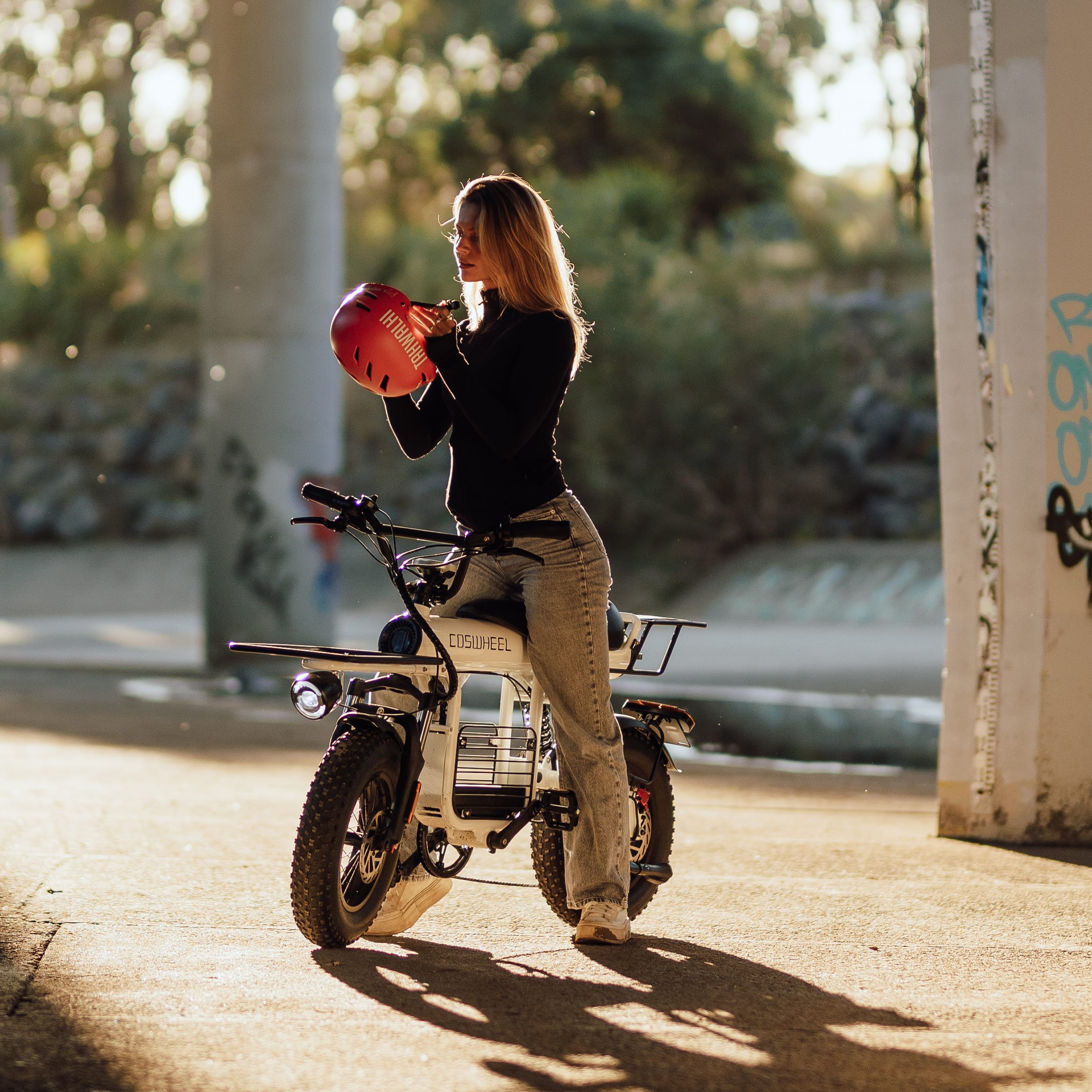 T16 Ebike