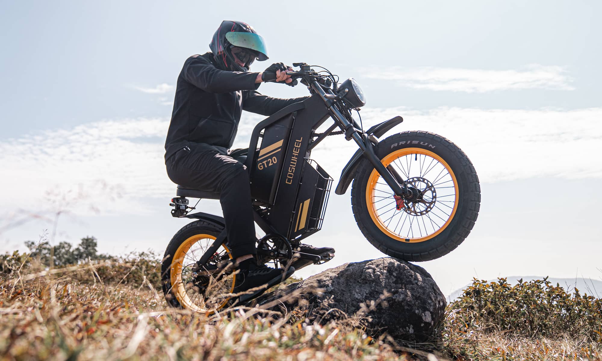 【Lee Moob】COSWHEEL Lee Moob】COSWHEEL Lee Moob】COSWHEEL Ebike Manufacturer| Ebike