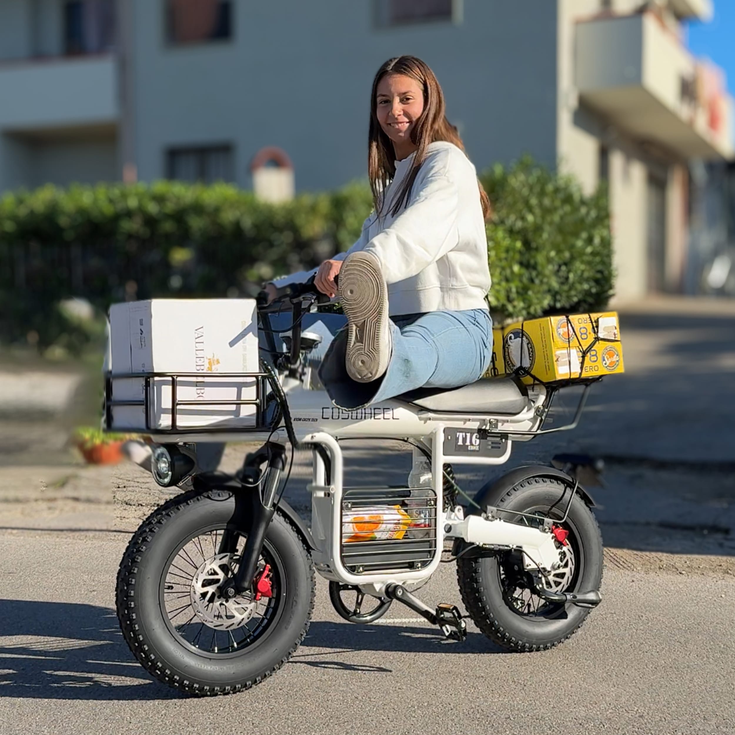 T16 Ebike