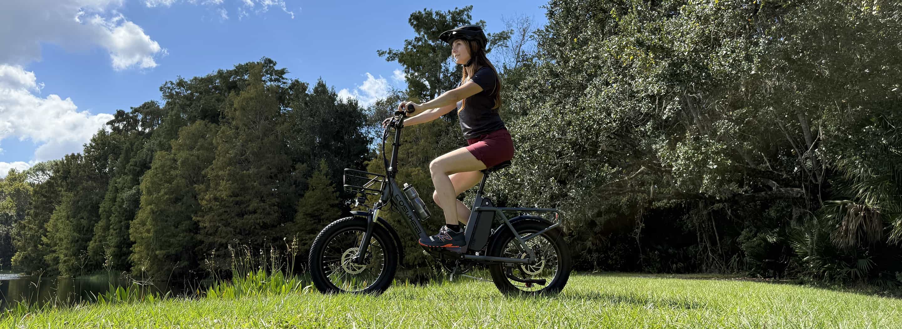 【Lee Moob】COSWHEEL Lee Moob】COSWHEEL Lee Moob】COSWHEEL Ebike Manufacturer| Ebike