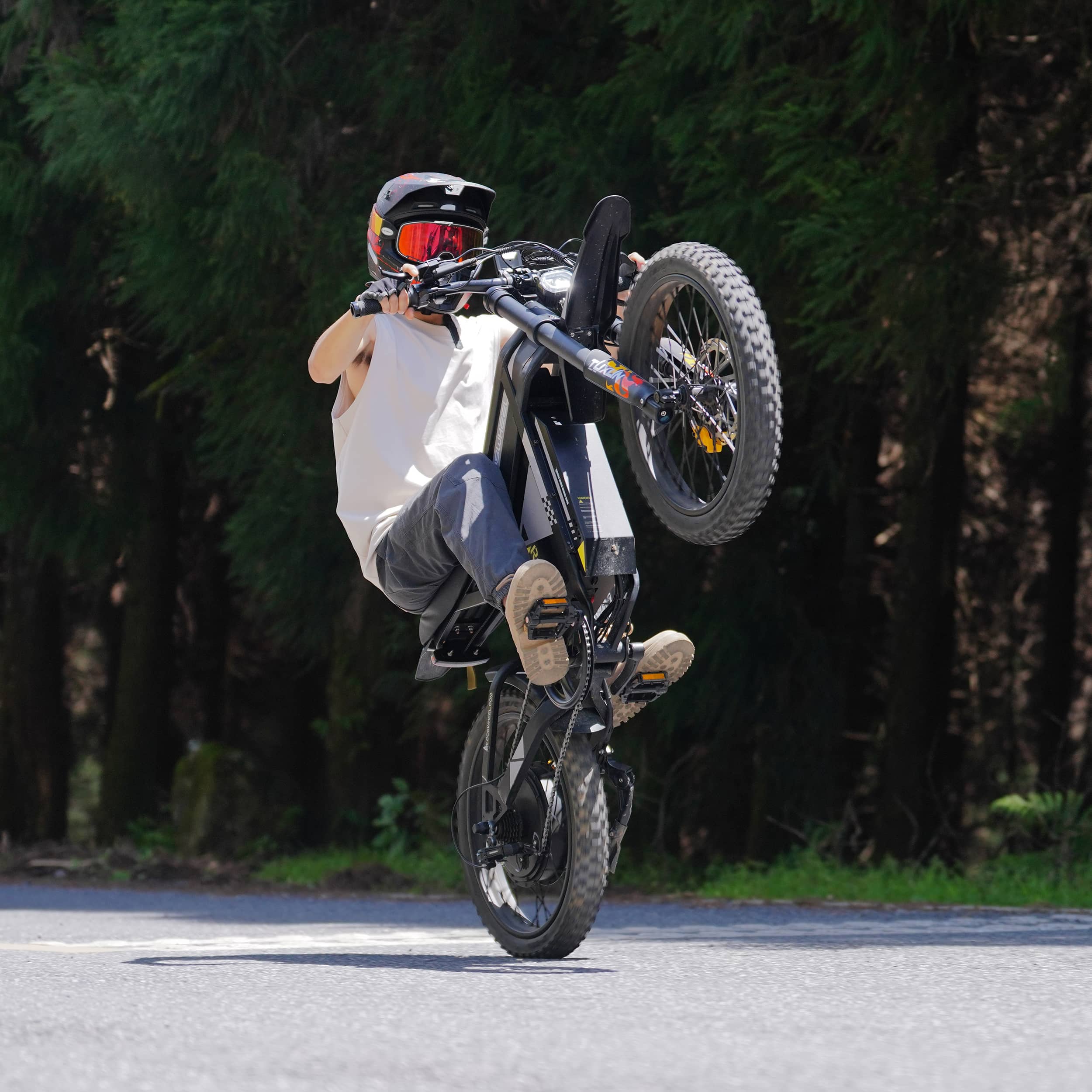 R6000 Dirt Ebike